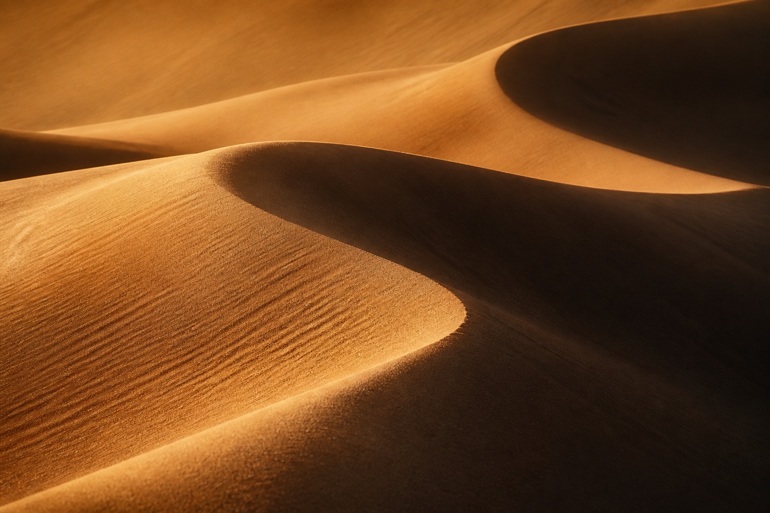 Desert landscape in the Emirates